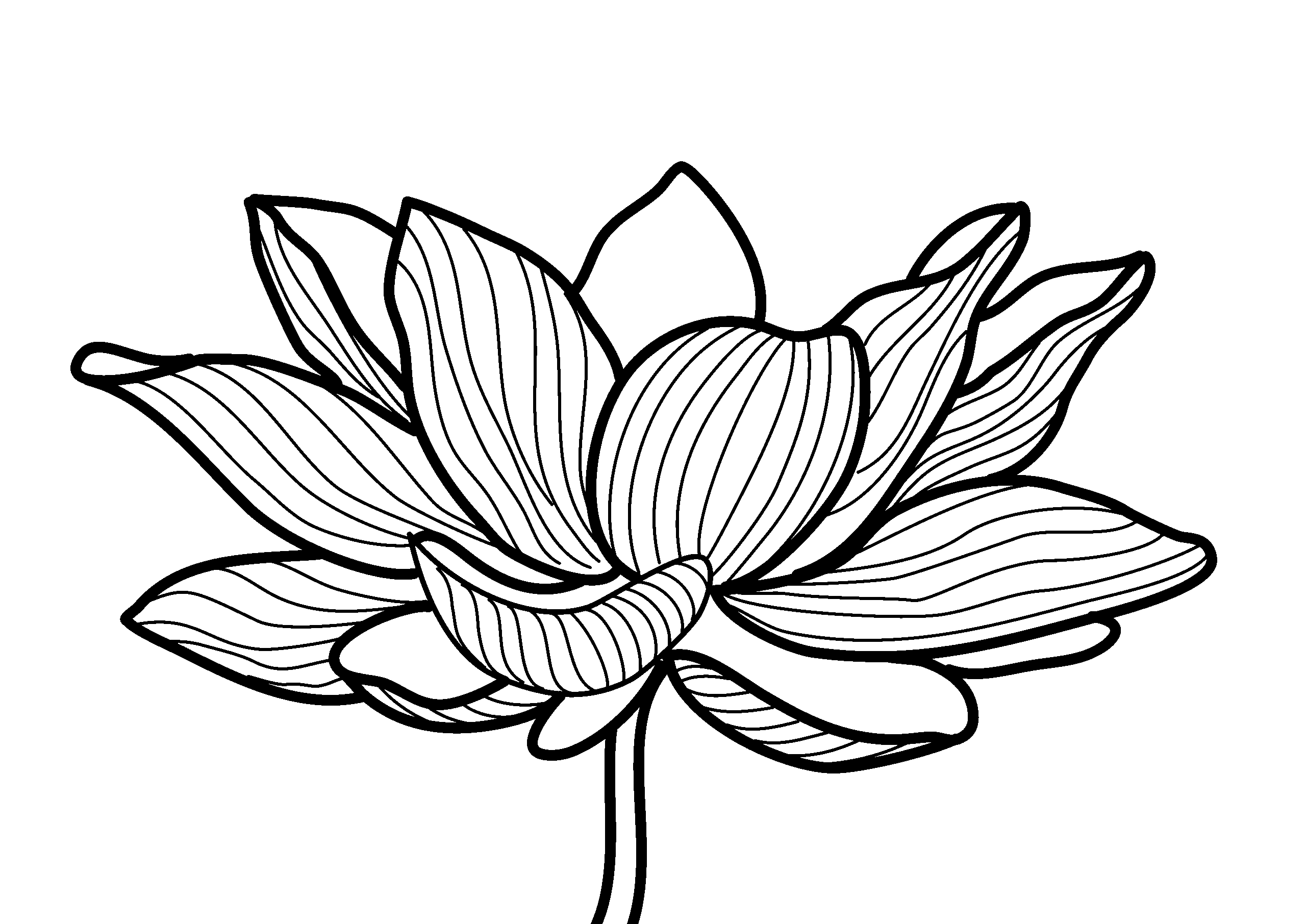 Teiler